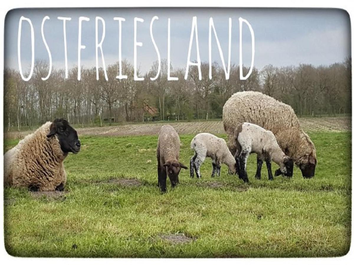 MoorwegReiterhof Ekenhoffアパートメント エクステリア 写真