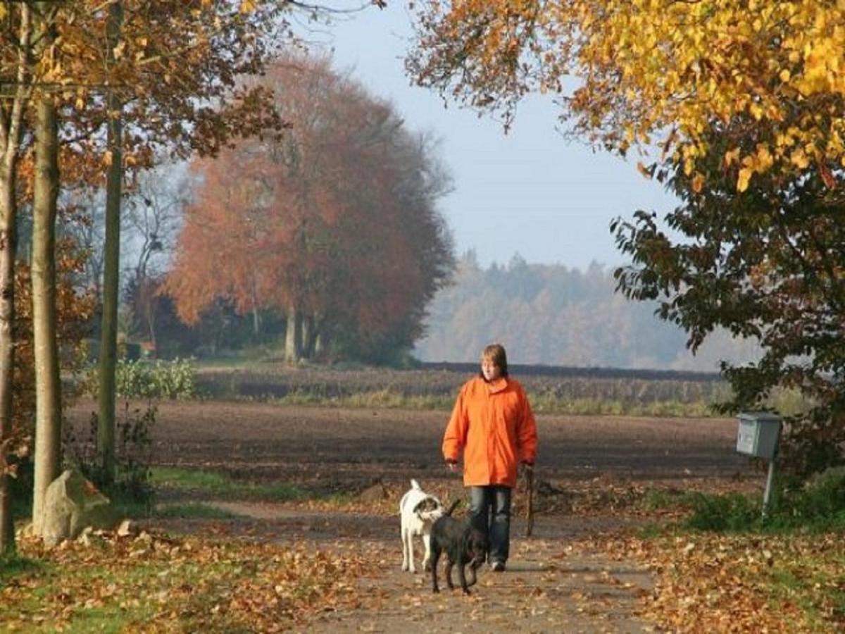 MoorwegReiterhof Ekenhoffアパートメント エクステリア 写真